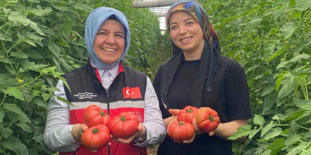 Üretimde aktif kadın eli! 550.000 ton ürün bekleniyor 4